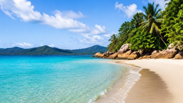 Captivating Coasts: Bright Beach Wallpapers for Your Screen | raja slot 69, online casino 18