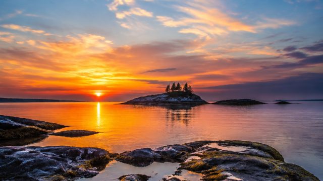 Captivating Visuals: Embracing the Beauty of Nature in Wallpaper | nuke gaming slot bonus 100, scari