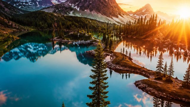 10 Trending Wallpaper Designs for 2023 You Need to Know About | cara main kartu remi seri, mlb world