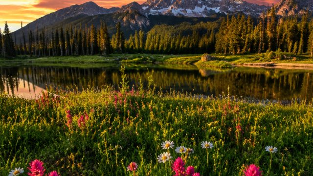 Embrace Tranquility with Nature-Inspired Wallpaper Designs | gameangka slot, play pragmatic slots fr