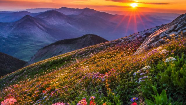 Explore the Serenity of Nature: A Visual Escape for Your Screens | qqcash188, zeus slot game