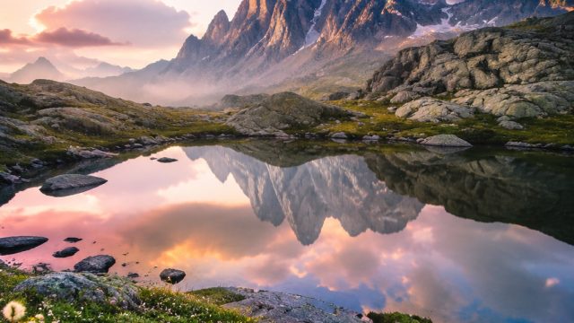 Stunning Nature-Inspired Wallpapers to Refresh Your Screen | slot deposit pulsa indosat tanpa potong