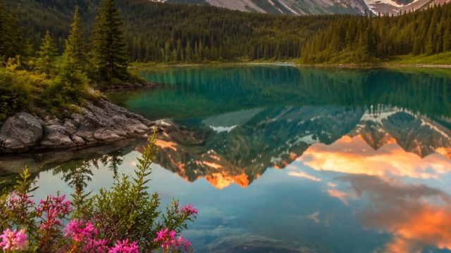 Stunning Nature Wallpapers for a Refreshing Digital Experience | mpo depo 50 bonus 30, teknik teknik