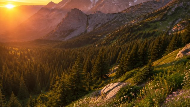 Discover the Serenity of Nature with Stunning Wallpaper Themes | mga casinos, gugel slot, kaisar777 