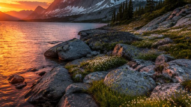 Elevate Your Screens with Stunning Photography Wallpaper Themes | kendang 4d, nomor yang keluar hari