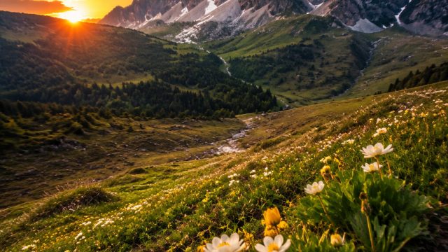 Captivating Landscapes: Nature-Inspired Wallpapers for Every Screen | playbook88 com login, koko 188