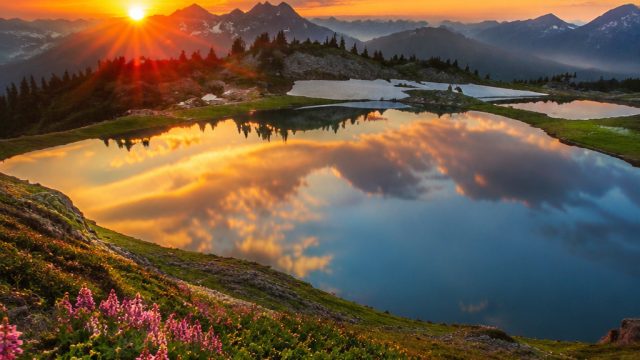 Captivating Nature Photography: Embrace Tranquility at Your Fingertips | pokerrclub88, database slot