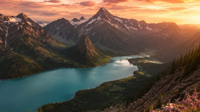 Captivating Moments: Explore Our Newest Wallpaper Gallery | transmorpher, go fish casino no deposit 