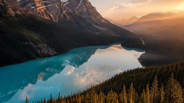Enchanting Nature: Captivating Wallpapers for Every Device | hoki slot 4d, wish master free, angka m
