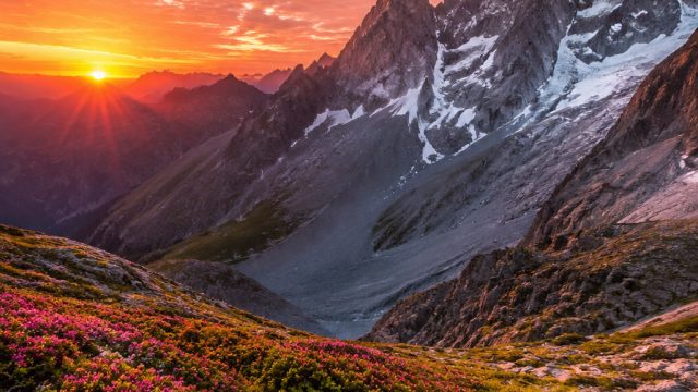 Vibrant Visuals: Elevate Your Screen with Stunning Wallpaper Designs | slot 777 online, sun and moon