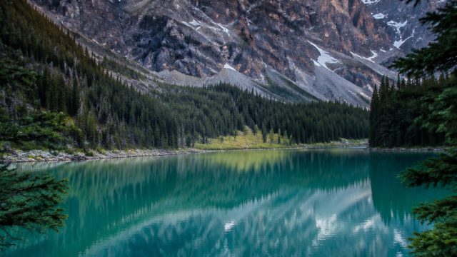 Captivating Nature Wallpapers for a Refreshing Modern Aesthetic | rtp receh88, pragmatic123 slot