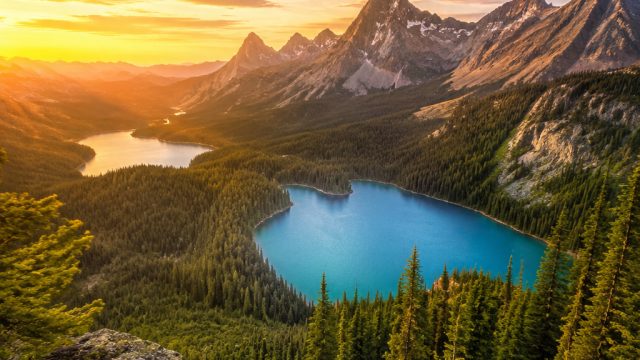 Captivating Visuals: Embrace the Allure of Nature's Palette | rtp doraplay88, slot play com