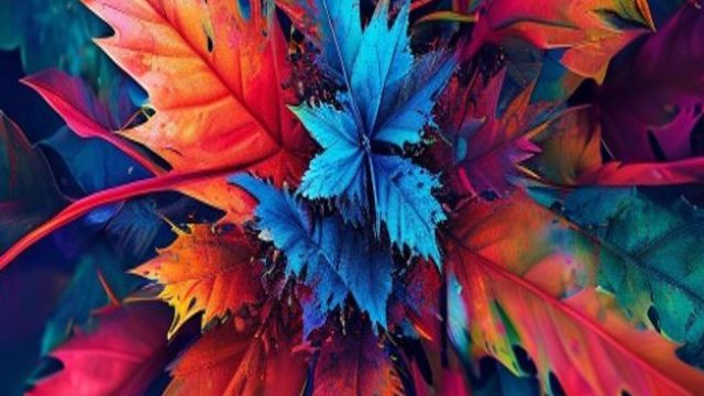 Exploring the Vibrant World of Modern Photography Wallpapers | www batikpoker com, spin for cash apa
