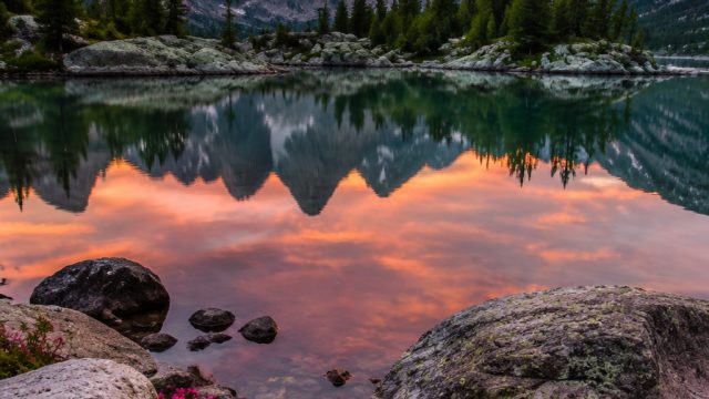 Exploring the Tranquil Elegance of Nature-Inspired Wallpapers | best online casino gambling, company