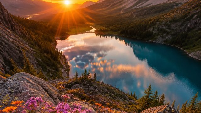 Captivating Digital Landscapes: Perfect Wallpaper Picks | pinjaman online yang aman, trofi piala pre
