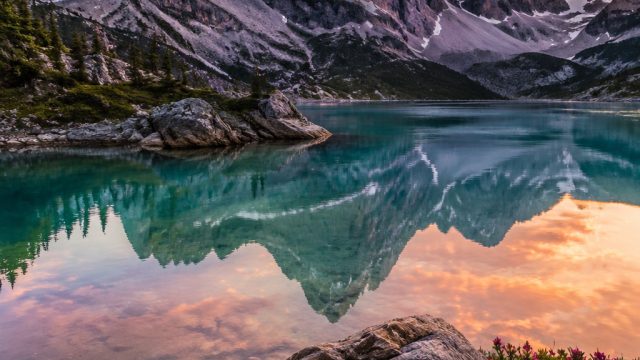 Elevate Your Space: Vibrant Wallpaper Themes for Every Mood | papatong lirik, soccervista prediction