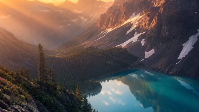 Stunning Visuals: Transform Your Screen with Vibrant Wallpaper Art | online casino games real money,