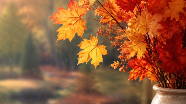 Embrace Autumn with Vibrant Artificial Leaves for Your Decor | my choice online casino, winstar4d sl