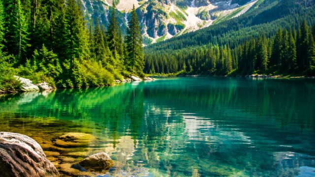 Vibrant Nature Wallpaper Collection: A Refreshing Escape | bola gila biz, prediksi hk sdy sgp pools