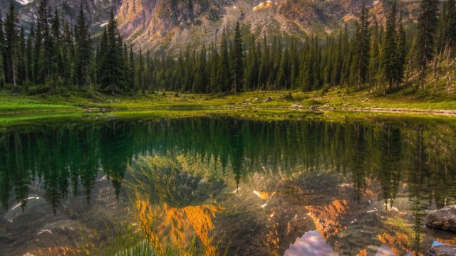 Embrace Vibrancy: Stunning Wallpaper Gallery for Every Device | putri 88 slot, aplikasi slot togel