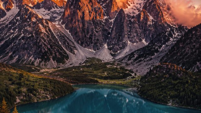 Designing with Photography: How to Choose the Right Images for Your Space | slot online uang asli an