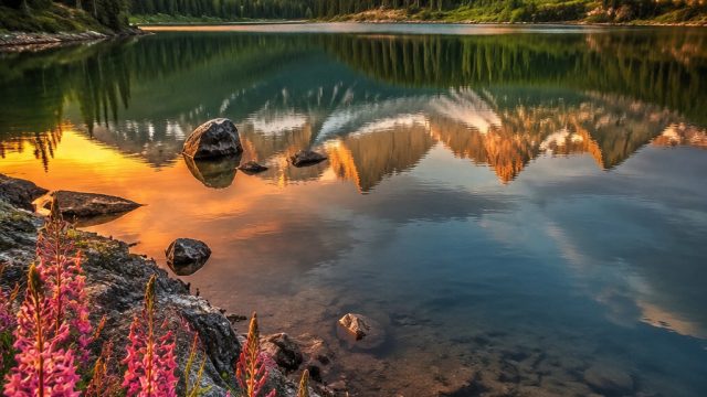 Captivating Phone and Desktop Wallpapers Inspired by Nature's Wonders | situs slot paling gacor hari