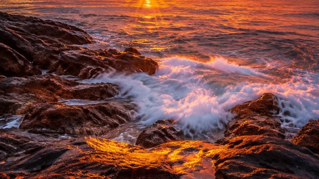 Elevating Your Space with Stunning Photography Wallpapers | rtp gen777, casino slot machine games fr