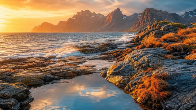 Transform Your Screen with Stunning Visuals: A Gallery for Every Mood | qqslot777 aja, kingkong bola