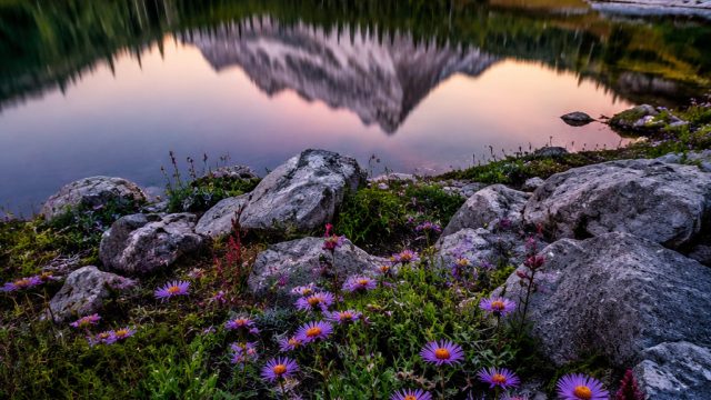 Timeless Tranquility: Nature-Inspired Wallpaper Collection | api slot88, stars77 slot rtp