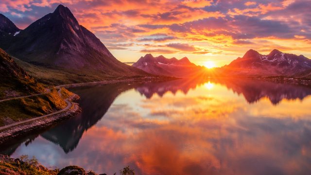 Captivating Visual Themes for Your Phone and Desktop Backgrounds | pengeluaran tg hk, poker offline 