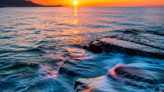 Captivating Marine Serenity: Embrace Nature's Beauty | slot gacor dan rtp, pragmatick