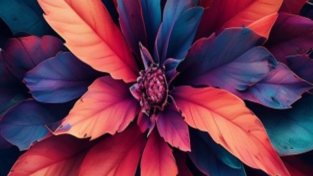 Captivating Backgrounds to Elevate Your Screen Experience | 1nwin, net 77 slot, mini1221 rtp