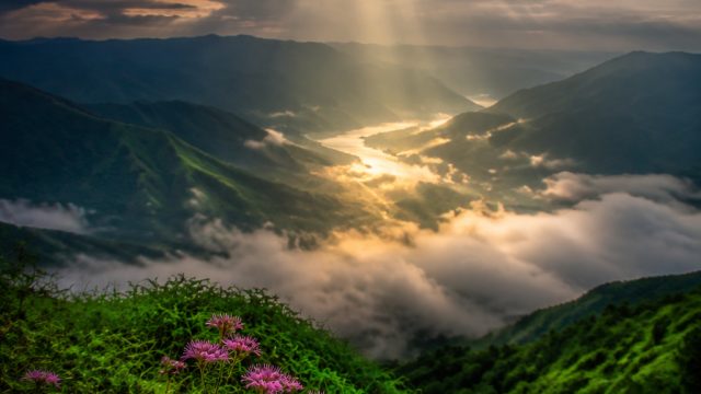 Captivating Monsoon Escapes: A Visual Journey Through Nature's Beauty | online casino no real money,