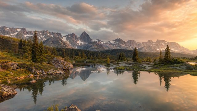Transform Your Space with Nature-Inspired Wallpapers | agen101, apk rtp slot pragmatic, venetian89
