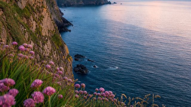 Stunning Visuals to Enhance Your Device: A Wallpaper Collection | playdomino99, daftar vegas4d