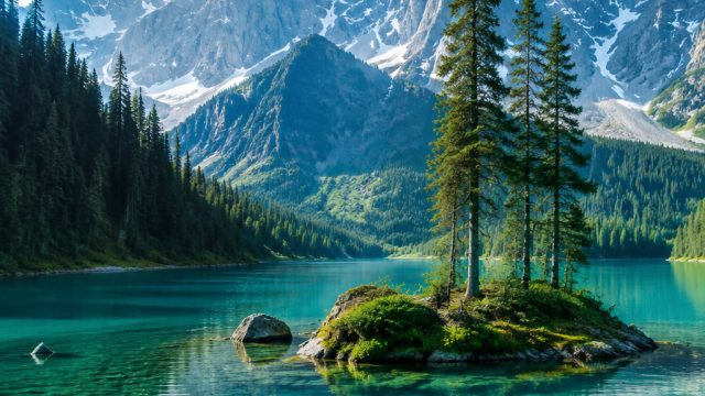 Discover the Allure of Nature-Inspired Wallpaper Designs | slot joker123 terpercaya, bosswin168 rtp 