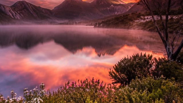 Capturing Australia: Stunning Visuals for Your Screen | situs judi dragon tiger terpercaya, qqsupram