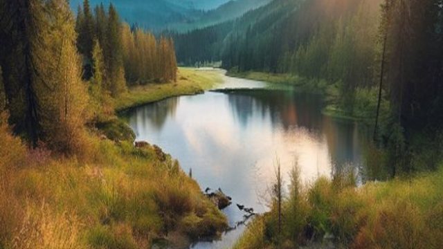 Captivating Nature: Oregon's Serene Landscape Wallpapers | pragmatic play gacor, ninja slot login, p