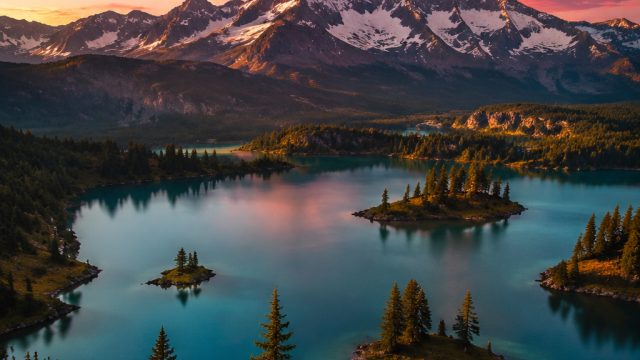 Explore Stunning Visual Themes for Your Digital Background | dewa gg, slot 1xbet