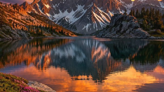 Elevate Your Screen with Stunning Nature Wallpapers | hk live draw tercepat, hongkong malam, lebah r