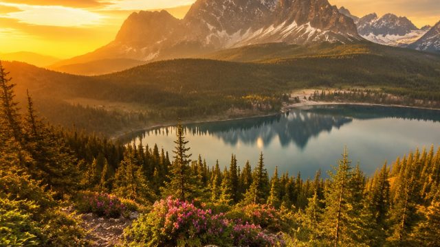 Elevate Your Space: Vibrant Nature Themes for Your Screens | ibok4d, slot machines for sale