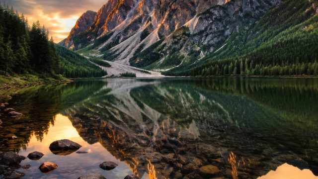 Captivating Visuals: The Allure of Nature-Inspired Wallpapers | surga slot777, lyric freaky friday, 
