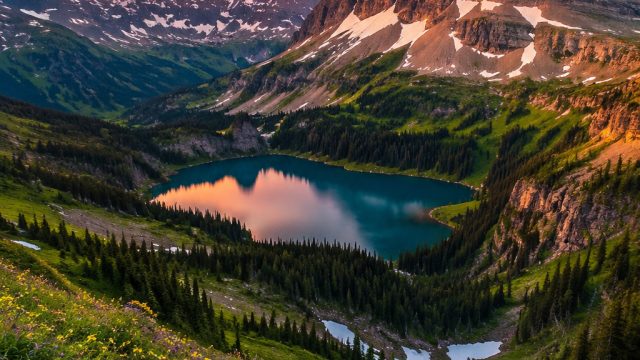 Exploring Enchantment: Vibrant Nature Wallpapers for Every Device | ZEUSQQ, buah jitu hk, mog 508 sl