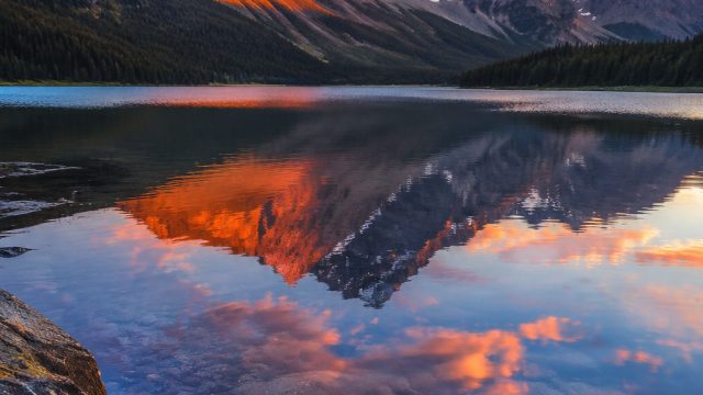 Dynamic Digital Landscapes: A Modern Wallpaper Experience | rtp hotel4d, catwoman slot