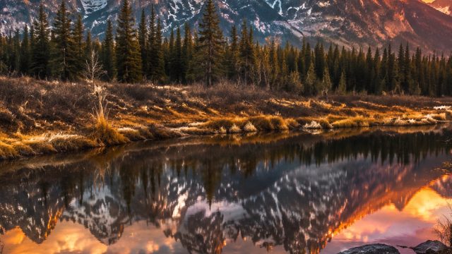 Serene Landscapes: Perfect Wallpapers for Your Devices | judi mas4d, slot games online free bonus