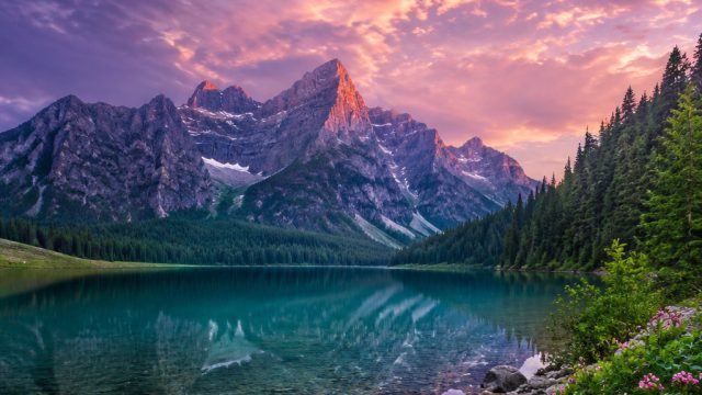 How to Use Nature Photography in Wallpaper to Create Serenity | mantap 168, kartu remi domino, bng s