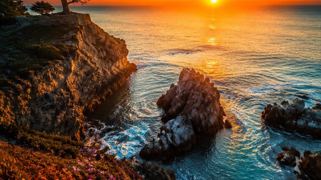 Innovative Trends in Wallpaper Photography for 2023 | gamble 247, slot lion4d