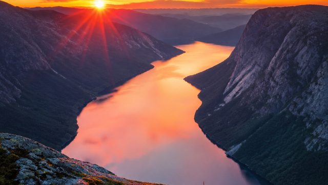 Capturing Nature: The Best Photography Wallpapers for Your Home | raden4d info, tarling drama, plant