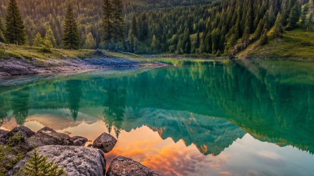 Captivating Visual Serenity: Nature-Inspired Wallpaper Collection | best pragmatic slots reddit, daf
