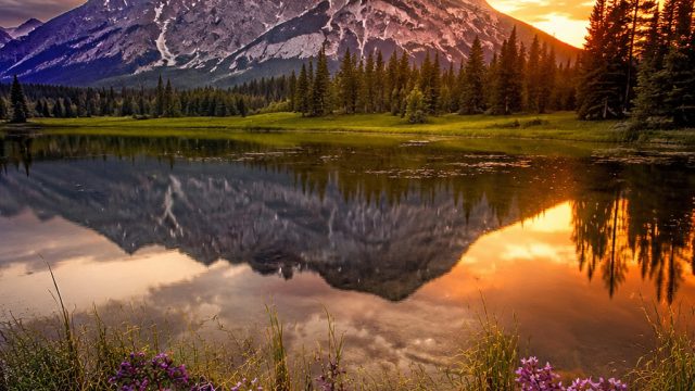 Captivating Nature: A Fresh Take on Photography Wallpapers | bayansbo, slot 4d terbaru 2020, big tim